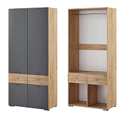 Шкаф 2-х створчатый Дублин (Дуб крафт золотой/Графит серый)